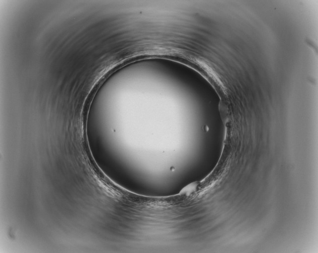 X0000098030837200804071414