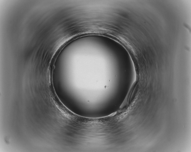 X0000098030838200804071415