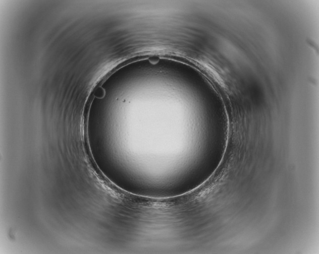 X0000098030839200804071415