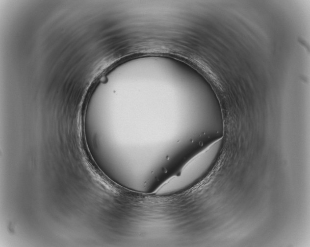 X0000098030840200804071415