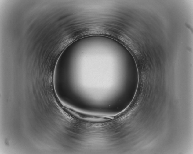 X0000098030841200804071415