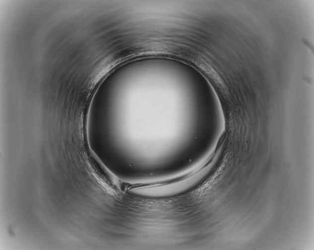 X0000098030842200804071415