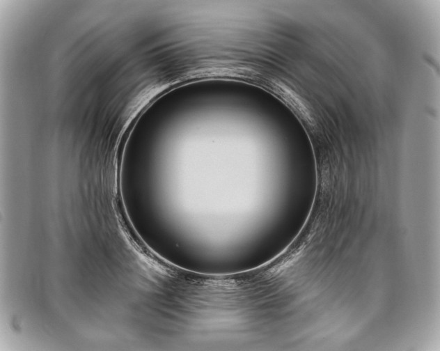 X0000098030844200804071415