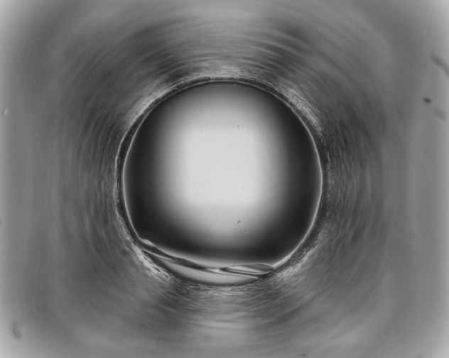 X0000098030845200804071415