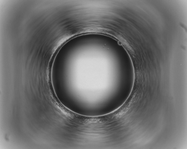 X0000098030846200804071415