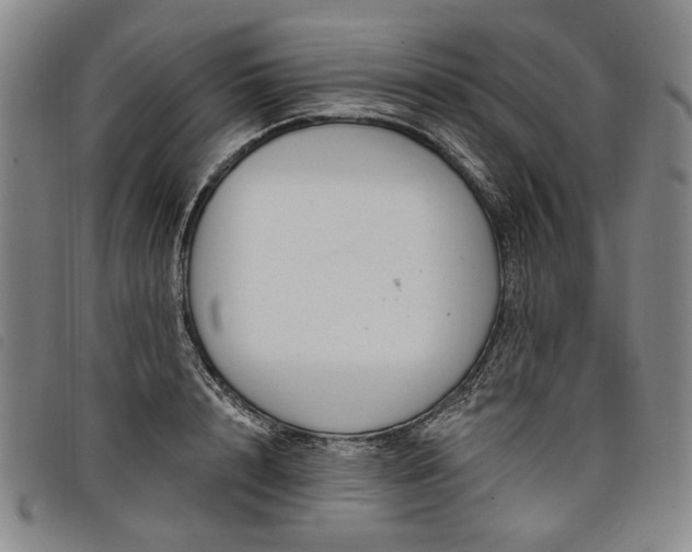 X0000098030848200804071415