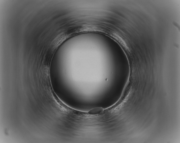 X0000098030849200804071415