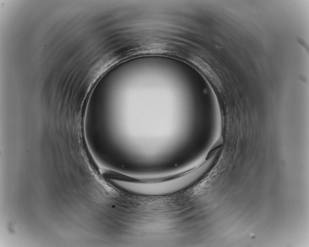 X0000098030850200804071415