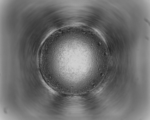 X0000098030851200804071415