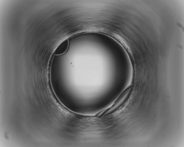 X0000098030853200804071415