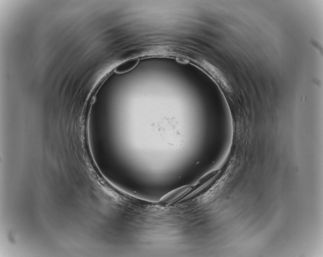 X0000098030854200804071415