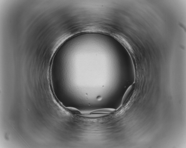 X0000098030855200804071415