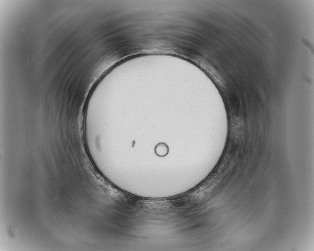 X0000098030856200804071415