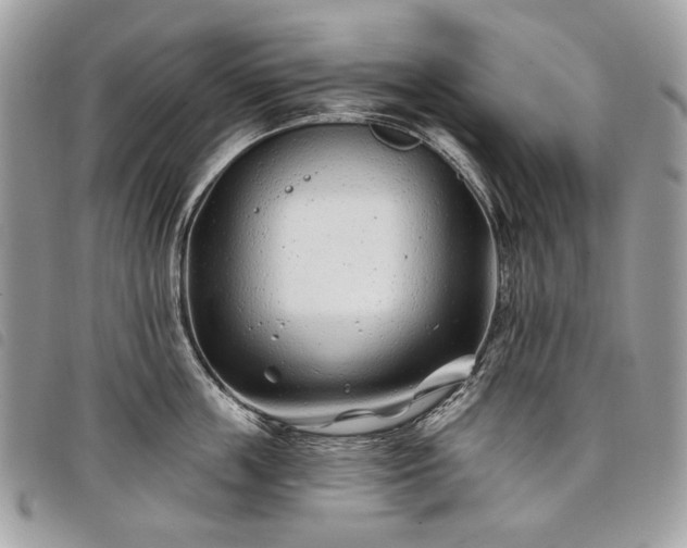 X0000098030859200804071415