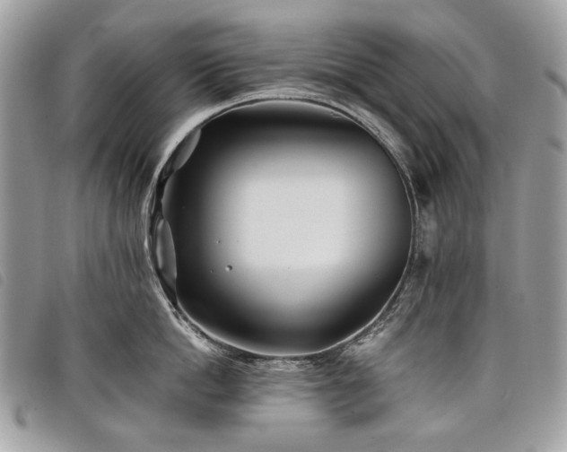 X0000098030862200804071415