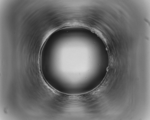 X0000098030863200804071415