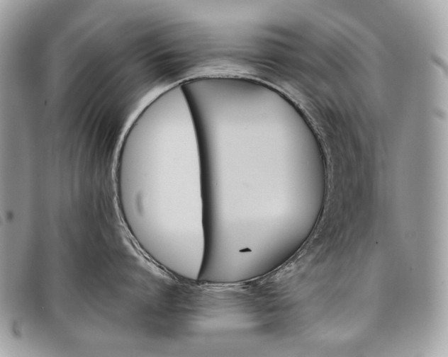 X0000098030864200804071415