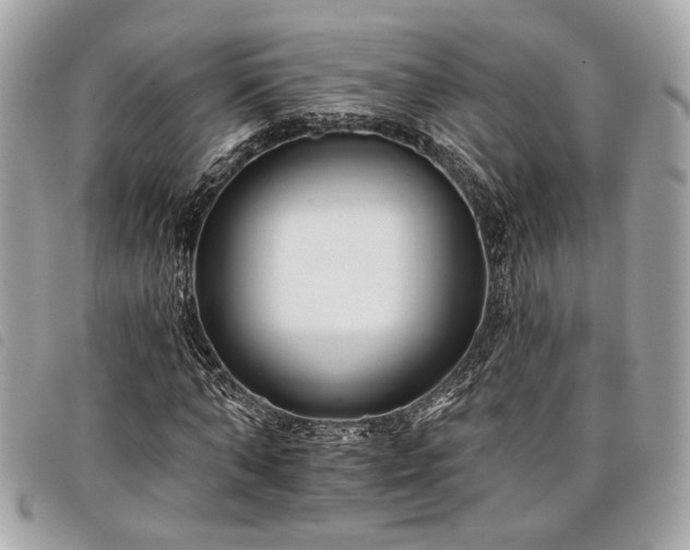 X0000098030870200804071414