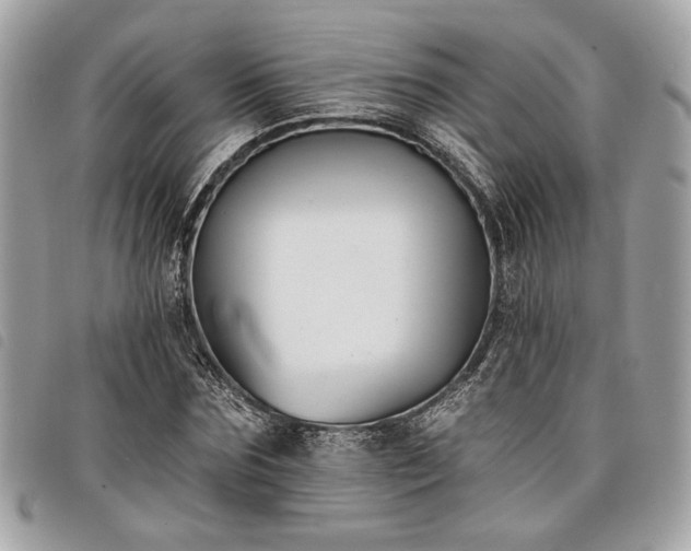 X0000098030875200804071414