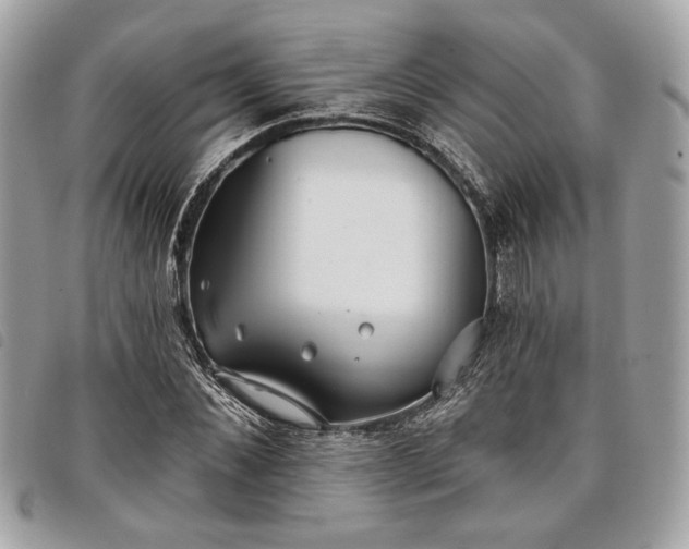 X0000098030876200804071414