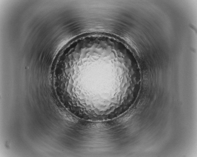 X0000098030879200804071414