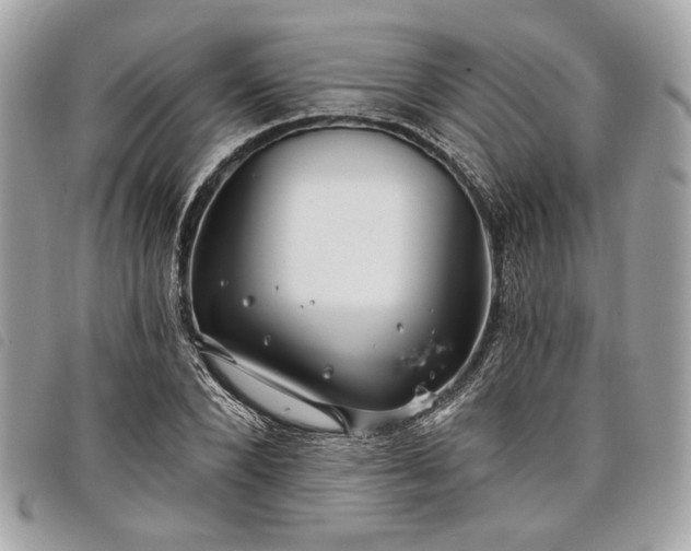 X0000098030880200804071414