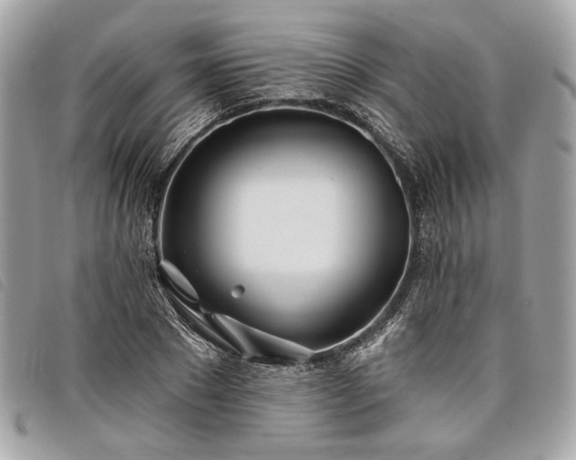 X0000098030881200804071414