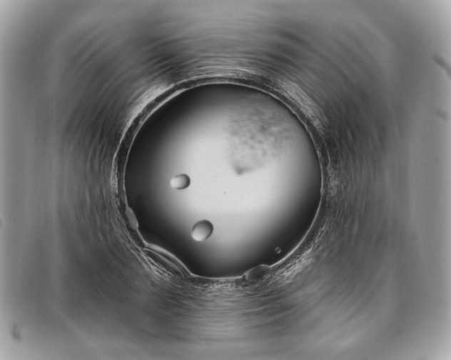 X0000098030883200804071414