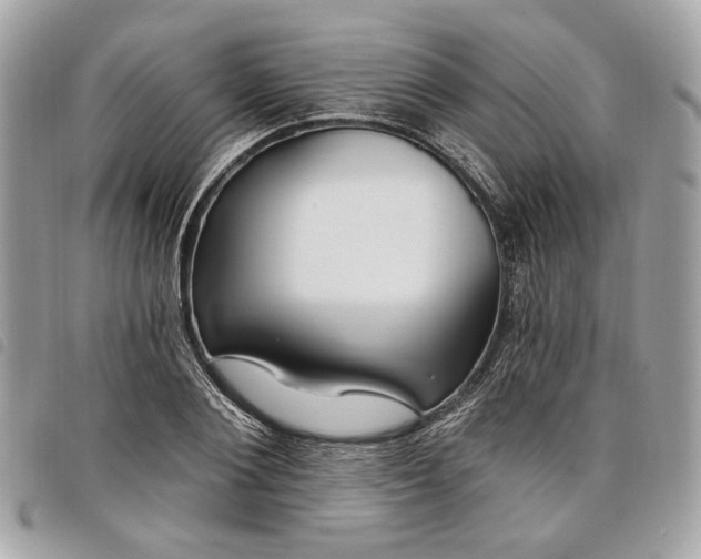 X0000098030884200804071414