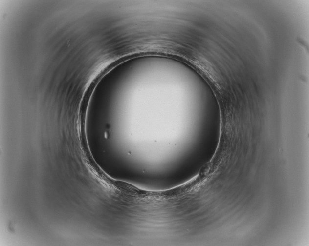 X0000098030888200804071414