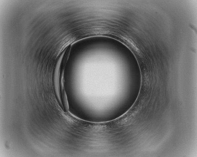 X0000098030889200804071414