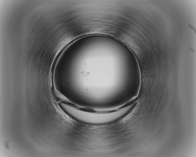 X0000098030892200804071414