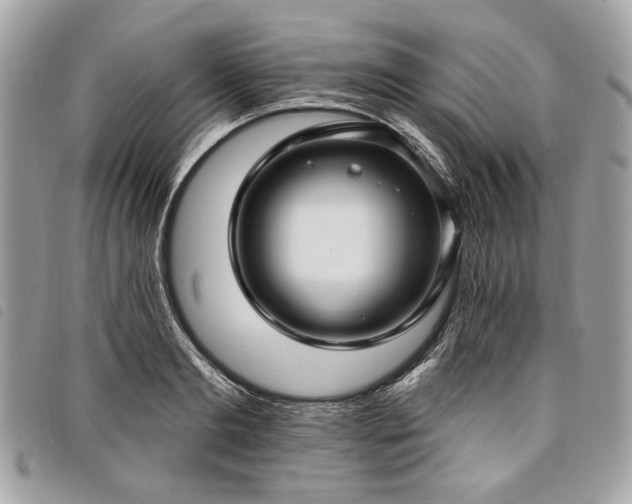 X0000098030893200804071414