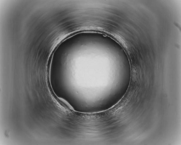 X0000098030895200804071414