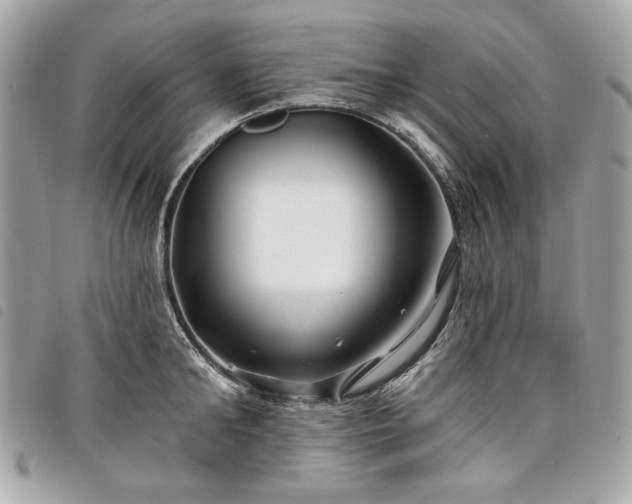 X0000098030902200804071414