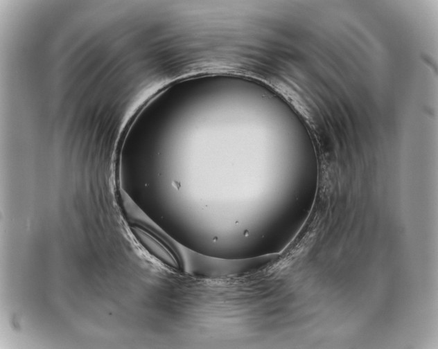 X0000098030904200804071414