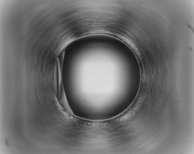 X0000098030905200804071414