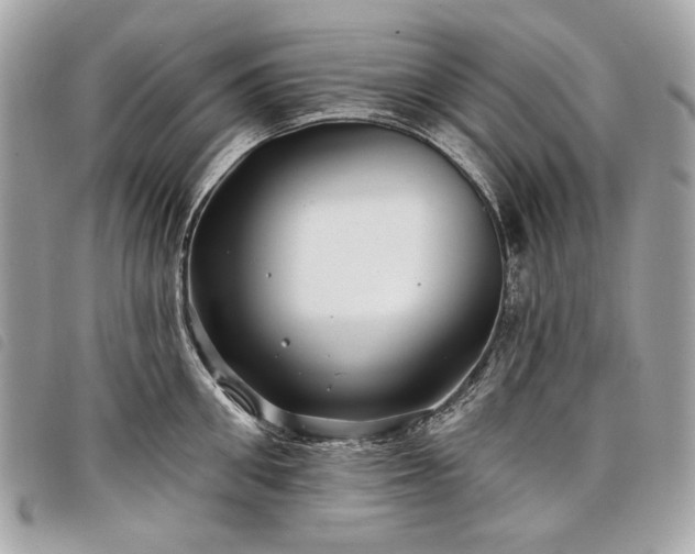 X0000098030906200804071414