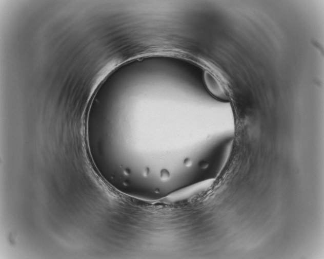 X0000098030907200804071414