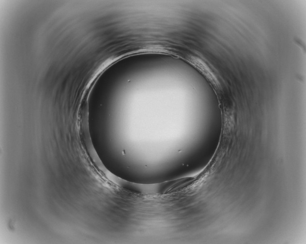 X0000098030908200804071414