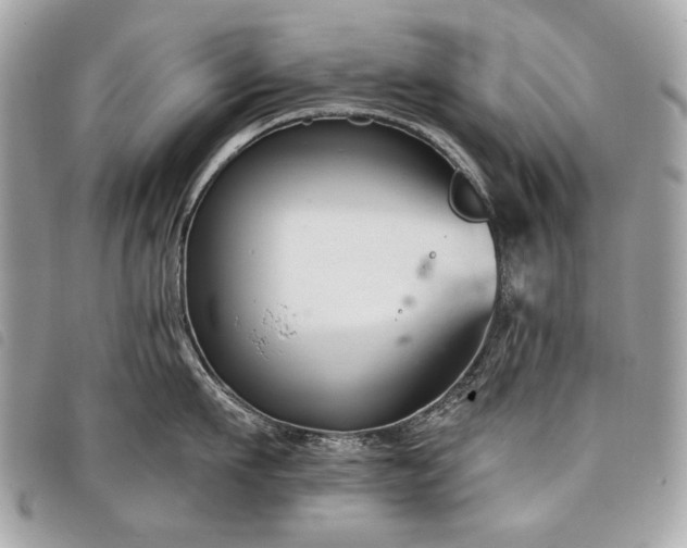 X0000098030911200804071414