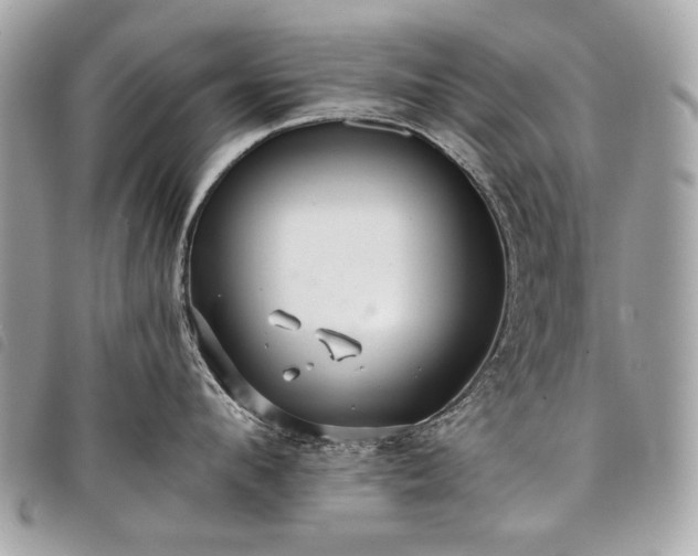 X0000098030912200804071414