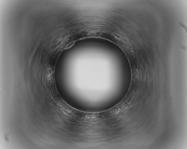 X0000098030914200804071413