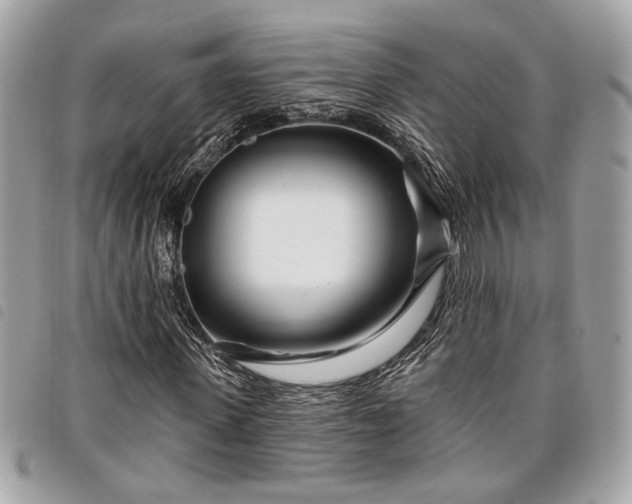 X0000098030915200804071413