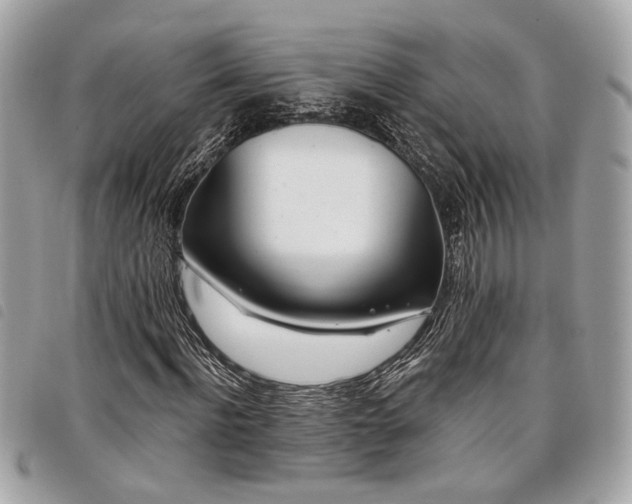 X0000098030916200804071413