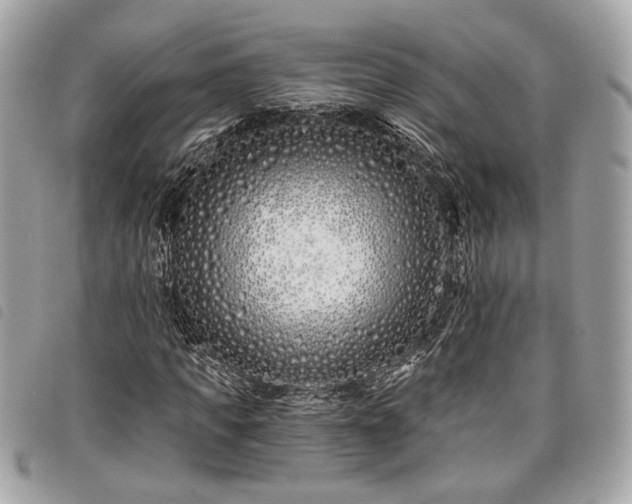 X0000098030917200804071413