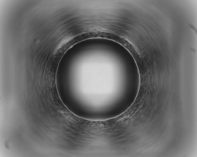 X0000098030919200804071413