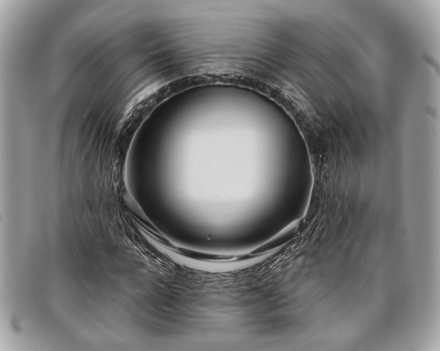 X0000098030920200804071413