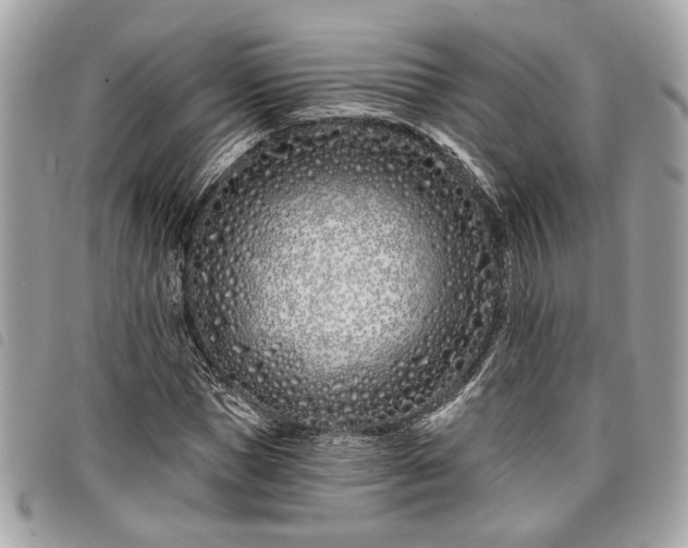 X0000098030921200804071413