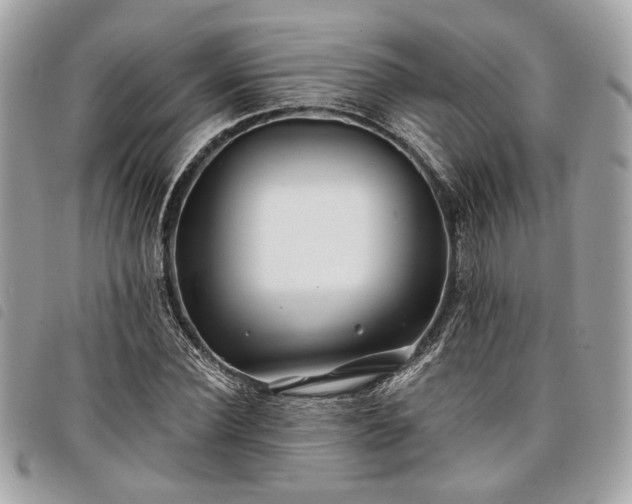 X0000098030924200804071413